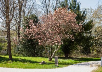 Schlosspark Essingen 0292