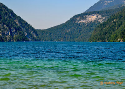 Der Königssee mit der Kirche St. Bartholomä 59 Königssee