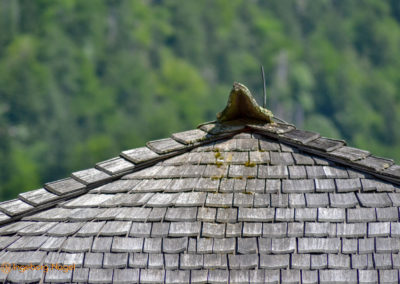Der Königssee mit der Kirche St. Bartholomä 50 Königssee