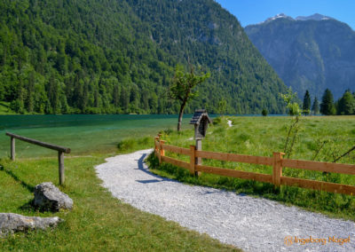 Der Königssee mit der Kirche St. Bartholomä 61 Königssee
