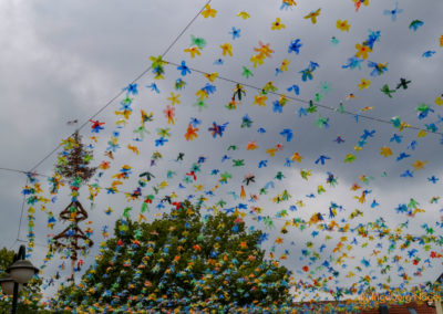 Mögglingen - Remstalgartenschau 2019 1 Mögglingen Remstalgartenschau Meraner Blütenhimmel