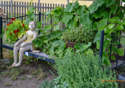 Mögglingen - Remstalgartenschau 2019 4 Mögglingen Remstalgartenschau Kräutergarten