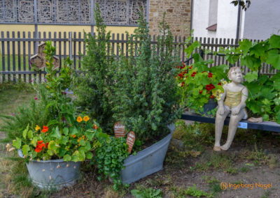 Mögglingen - Remstalgartenschau 2019 5 Mögglingen Remstalgartenschau Kräutergarten