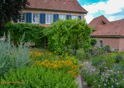 Mögglingen - Remstalgartenschau 2019 6 Mögglingen Remstalgartenschau Kräutergarten
