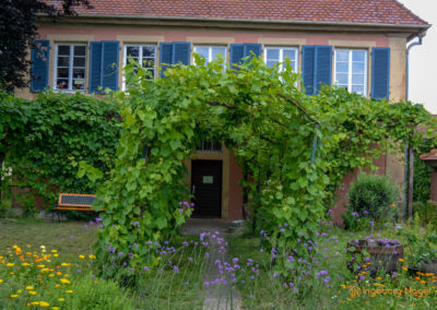 Mögglingen - Remstalgartenschau 2019 7 Mögglingen Remstalgartenschau Kräutergarten