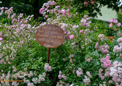Mögglingen - Remstalgartenschau 2019 14 Mögglingen Remstalgartenschau