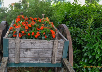 Mögglingen - Remstalgartenschau 2019 18 Mögglingen Remstalgartenschau