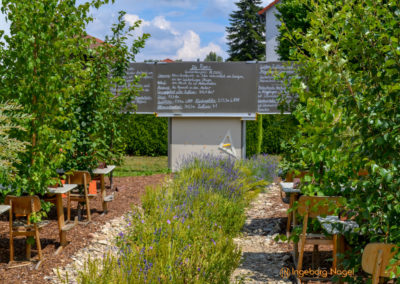 Mögglingen - Remstalgartenschau 2019 30 Mögglingen Remstalgartenschau Baumschule
