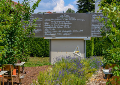 Mögglingen - Remstalgartenschau 2019 31 Mögglingen Remstalgartenschau Baumschule