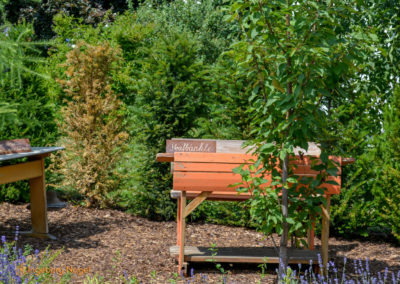Mögglingen - Remstalgartenschau 2019 33 Mögglingen Remstalgartenschau Baumschule