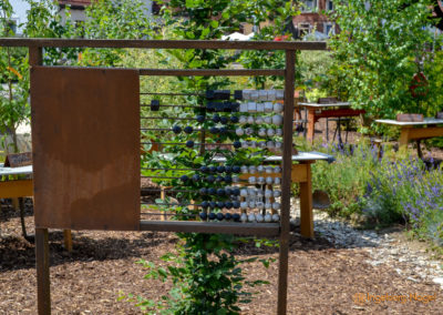 Mögglingen - Remstalgartenschau 2019 34 Mögglingen Remstalgartenschau Baumschule