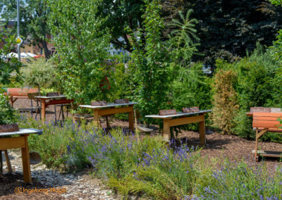 Mögglingen - Remstalgartenschau 2019 35 Mögglingen Remstalgartenschau Baumschule
