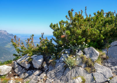 Kehlsteinhaus