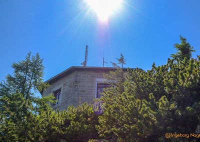 DSC 0598