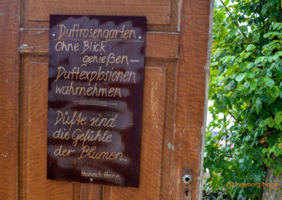 Mögglingen - Remstalgartenschau 2019 41 Mögglingen Remstalgartenschau Duftrosengarten