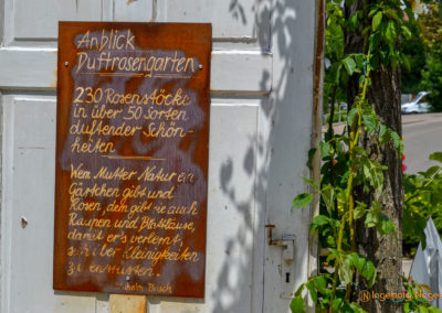 Mögglingen - Remstalgartenschau 2019 54 Mögglingen Remstalgartenschau Duftrosengarten