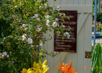 Mögglingen - Remstalgartenschau 2019 55 Mögglingen Remstalgartenschau Staudengarten