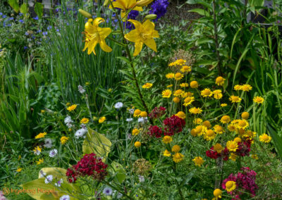 Mögglingen - Remstalgartenschau 2019 62 Mögglingen Remstalgartenschau Staudengarten