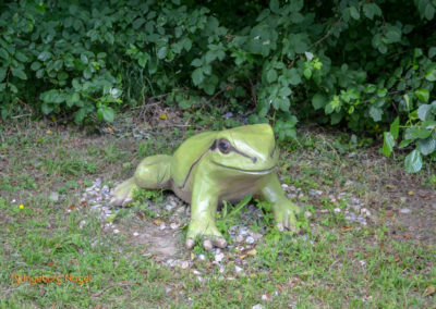 Mögglingen - Remstalgartenschau 2019 73 Mögglingen Remstalgartenschau Remsaue