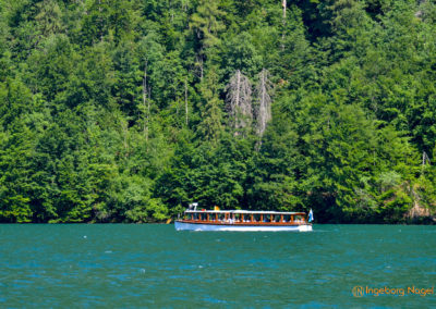 Der Königssee mit der Kirche St. Bartholomä 16 Königssee