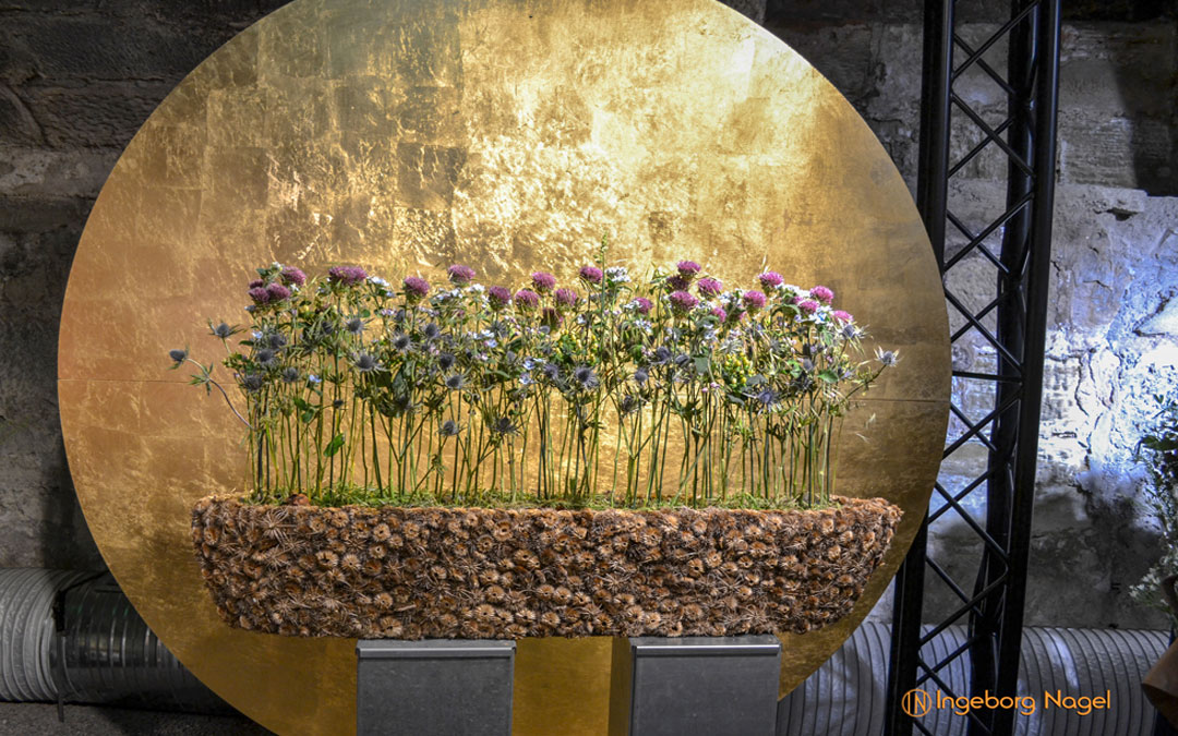 Blumenschau ‚Heilpflanzen‘ Schorndorf – Remstalgartenschau 2019