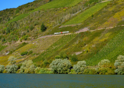 Leben an der Mosel 5 Weinberge Briedel an der Mosel