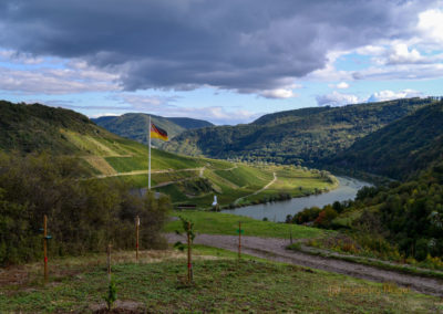 Weinberge über Briedel