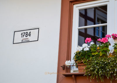 Leben an der Mosel 2 Briedel an der Mosel