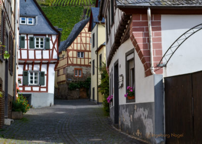 Leben an der Mosel 12 Edinger an der Mosel