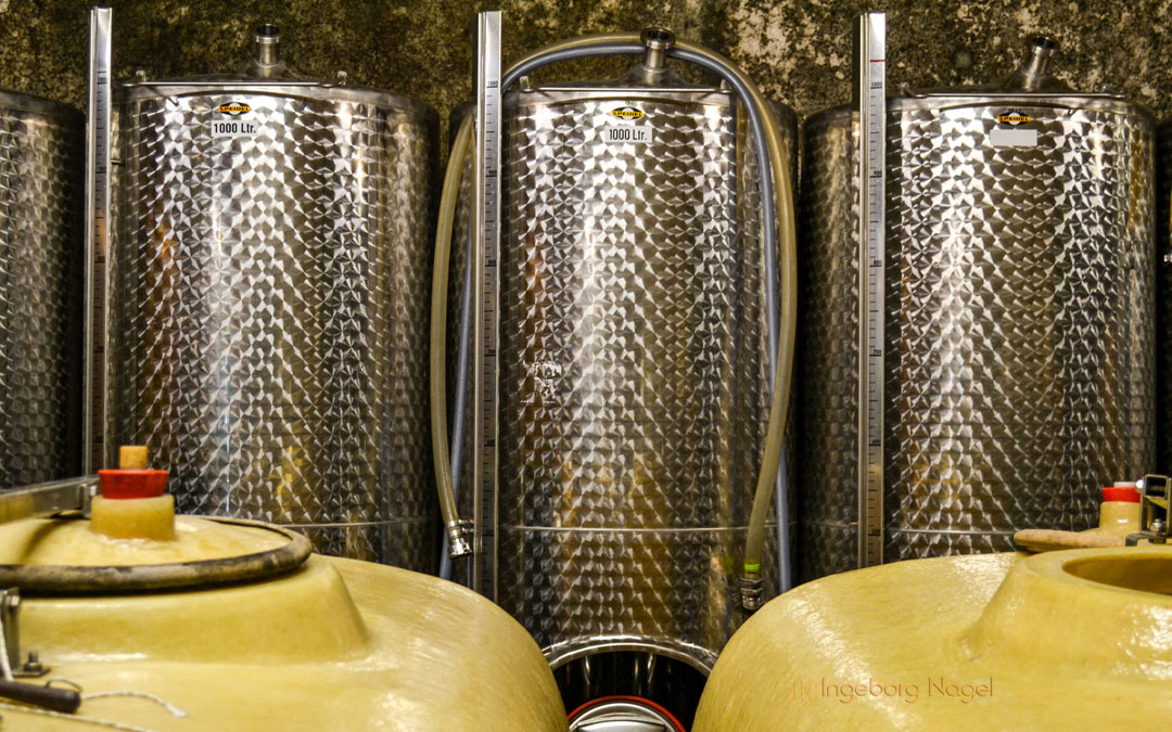 Hinter den Kulissen eines Winzerbetriebs