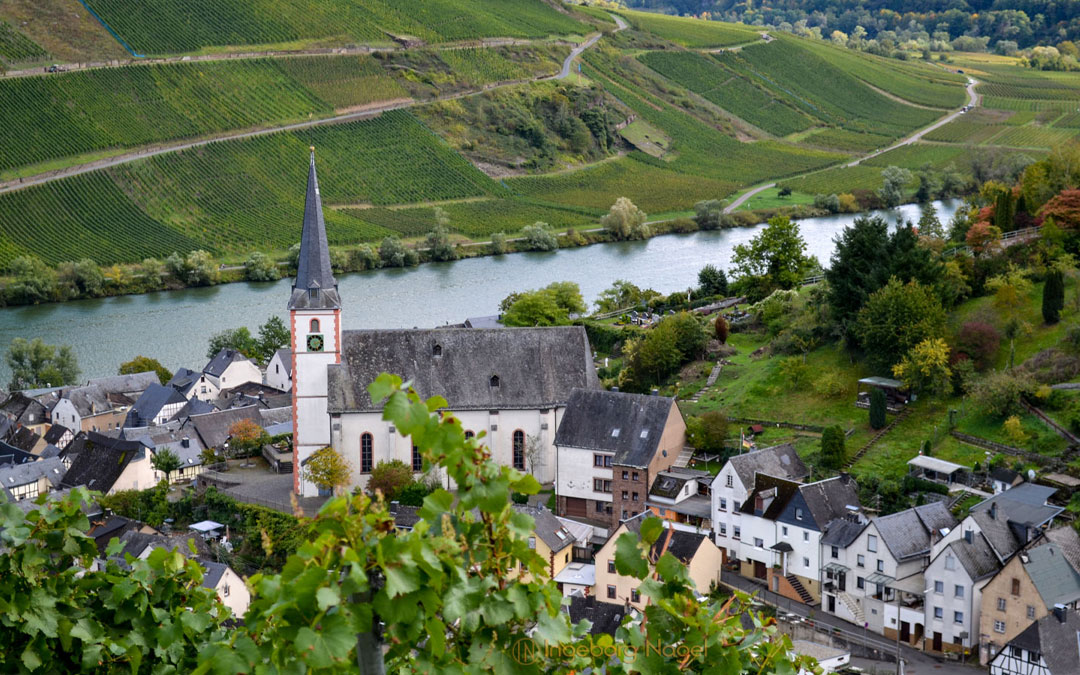 Leben an der Mosel