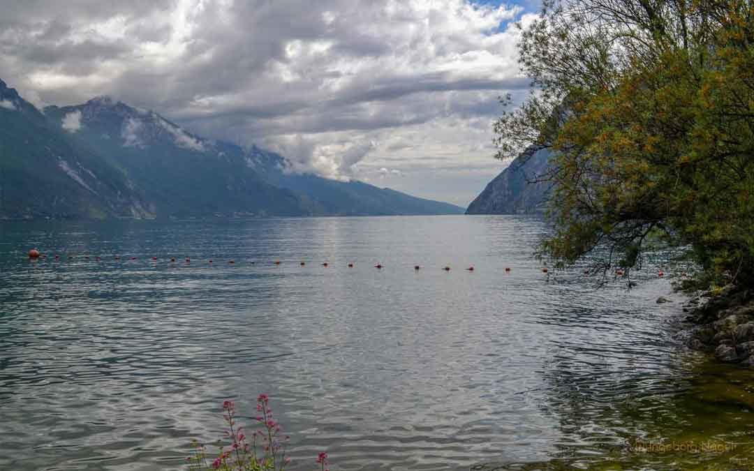 Gardasee