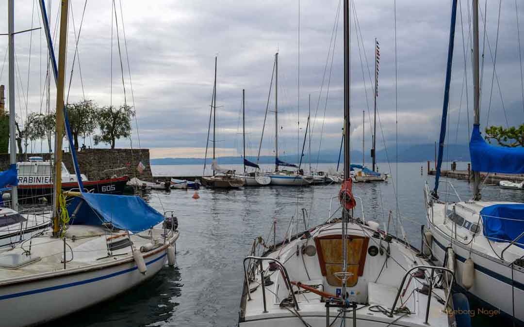 Torri del Benaco