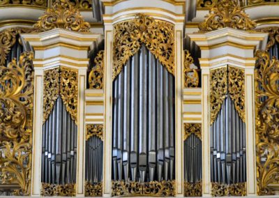 Der Kaiserdom zu Merseburg 35 Orgel Kaiserdom in Merseburg