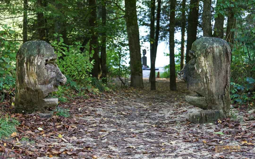 Bei den Waldgeistern am Herrenbachstausee