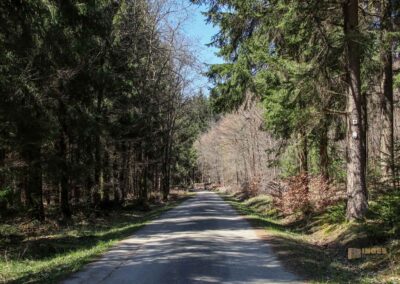 Ein Ausflug zu den Weiherwiesen bei Essingen 3 Wege in den Weiherwiesen bei Essingen 2294