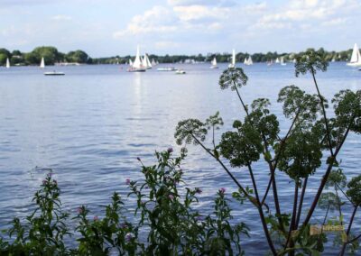 An der Außenalster in Hamburg 17 Außenalster Hamburg 0529