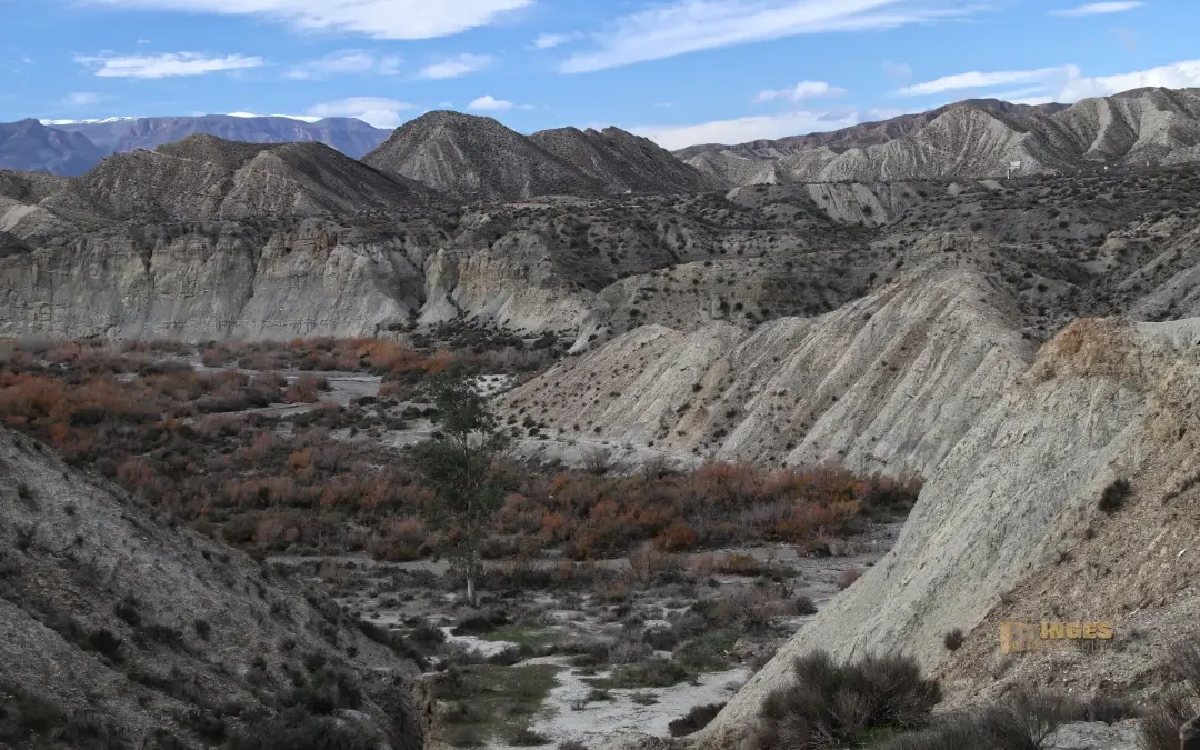 Wueste von Tabernas 2795