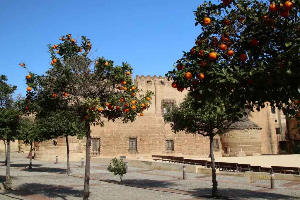castillo cuevas del amanzora andalusien 2386 1
