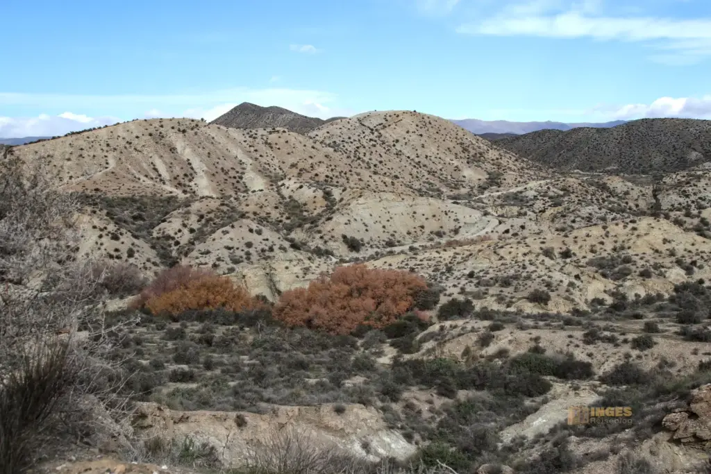 die wueste von tabernas andalusien 2741