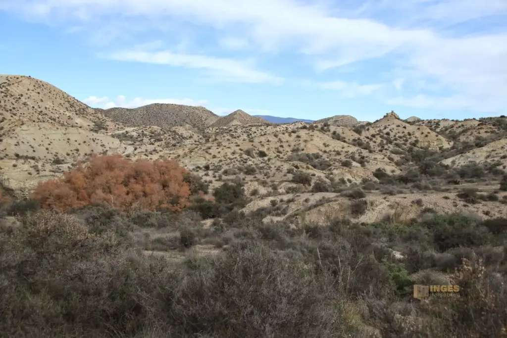 die wueste von tabernas andalusien 2747