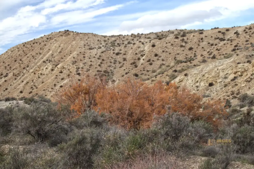 die wueste von tabernas andalusien 2752