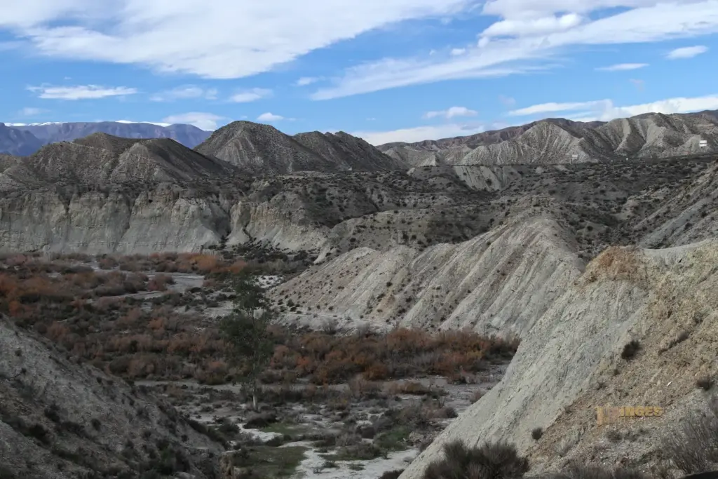 die wueste von tabernas andalusien 2793
