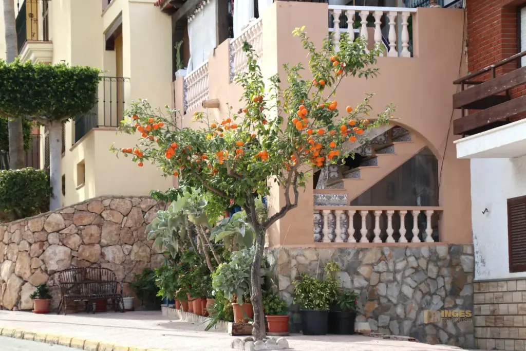 Überwintern bei Mojácar in Andalusien - Woche 1 25 in villaricos andalusien 1423