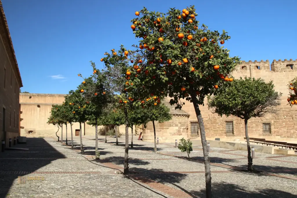 innenhof castillo cuevas del amanzora 2384