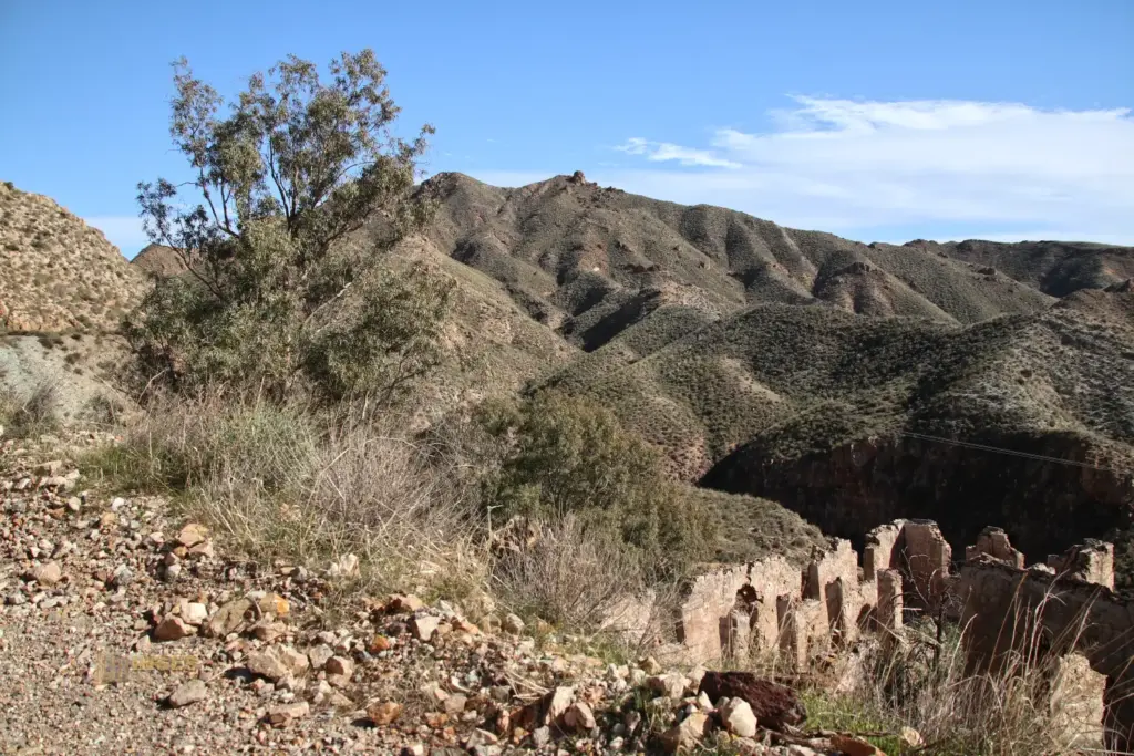 Überwintern bei Mojácar in Andalusien - Woche 1 80 sierra de almagra bei cuevas del almanzora andalusien_2624