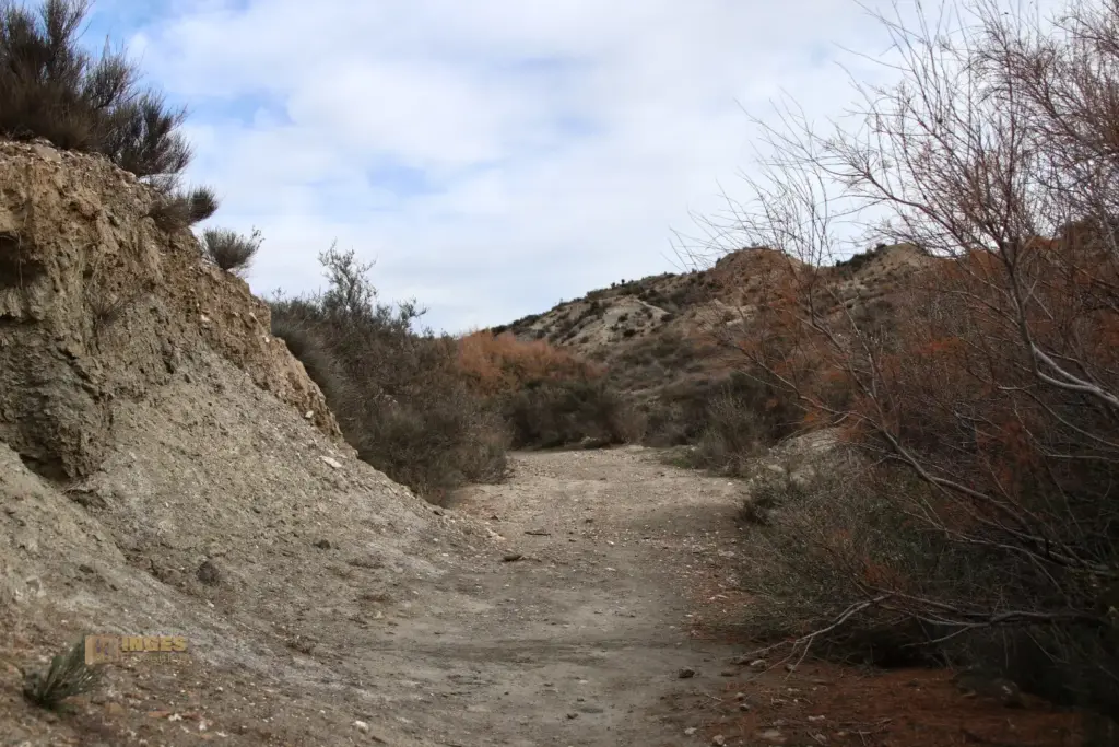 weg durch die wueste von tabernas andalusien 2764