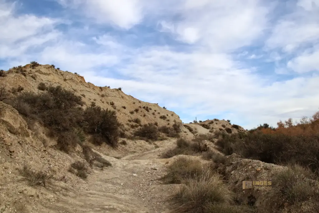 weg durch die wueste von tabernas andalusien 2767