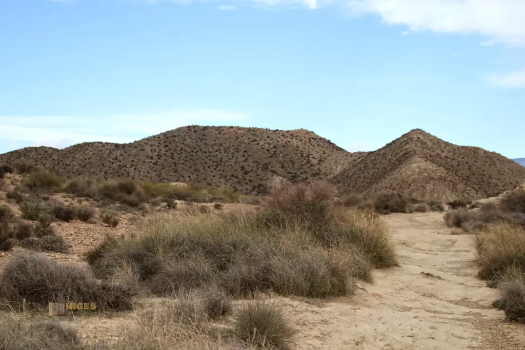 weg durch die wueste von tabernas andalusien 2780