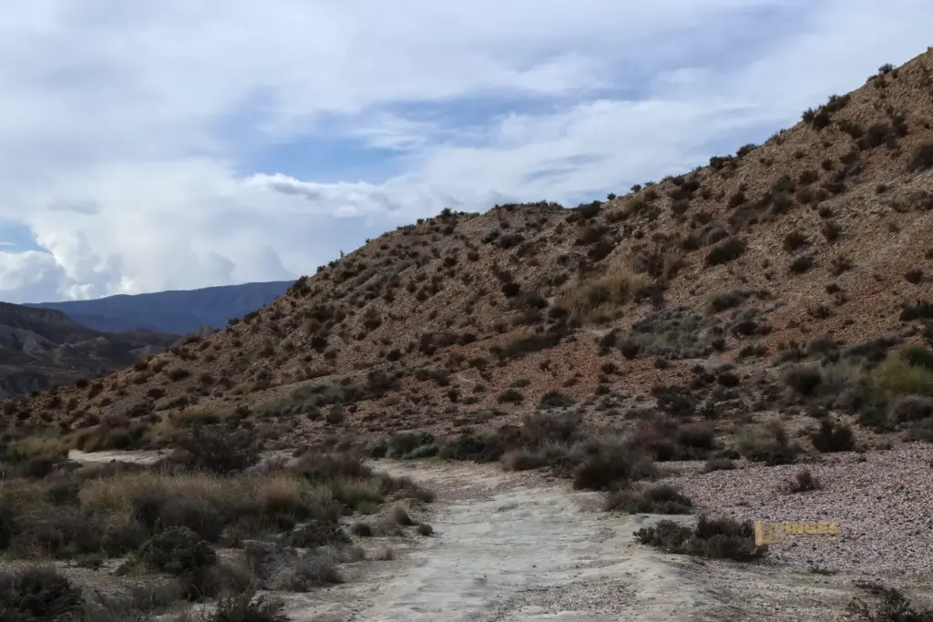 weg durch die wueste von tabernas andalusien 2810
